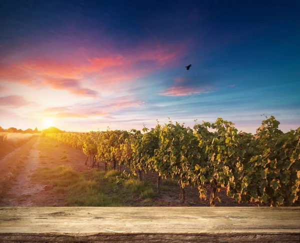 Rotwein mit Fass auf Weinberg in der grünen Toskana, Italien — Stockfoto