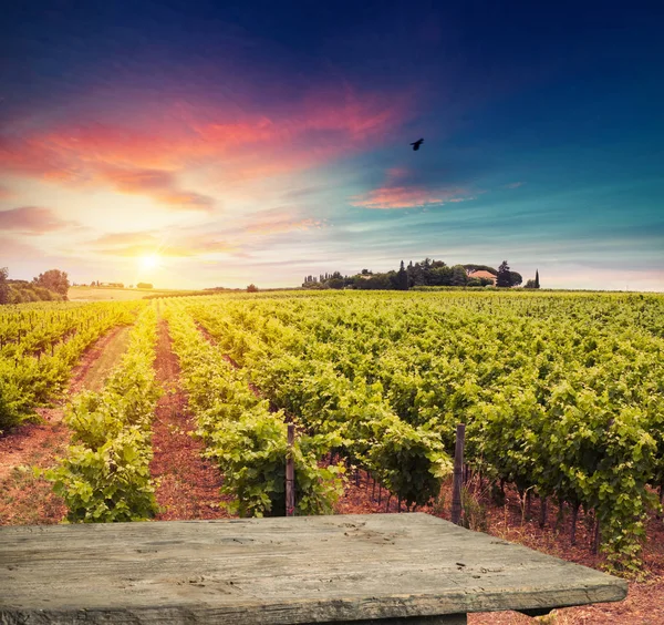 Vino tinto con barril en viñedo verde Toscana, Italia — Foto de Stock