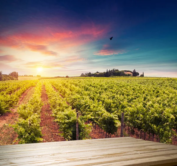 Vino tinto con barril en viñedo verde Toscana, Italia — Foto de Stock