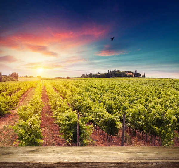 Vino rosso con botte su vigneto nella verde Toscana — Foto Stock