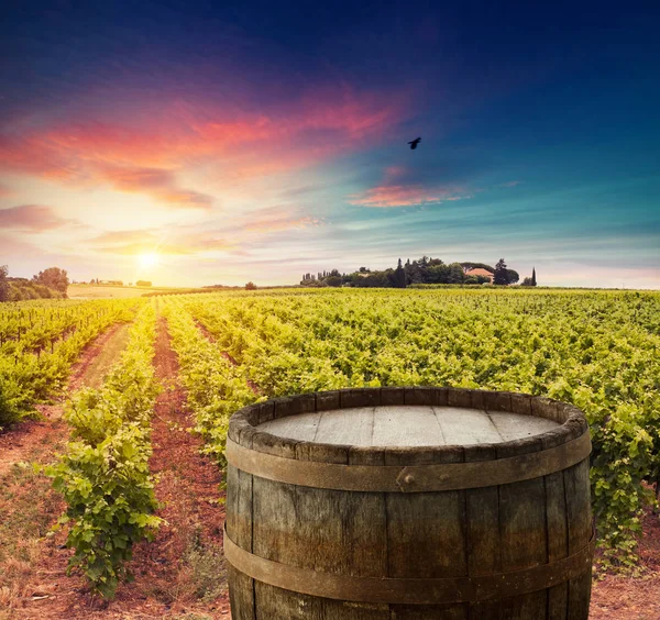 Красное вино с бочкой на винограднике в зеленой Тоскане, Италия — стоковое фото