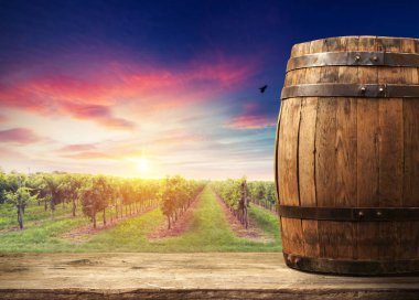 Tuscany, İtalya 'da üzüm bağında kırmızı şarap