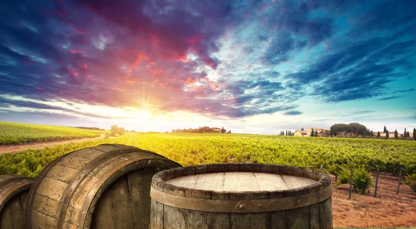 Vinho tinto com barril em vinha na Toscana verde, Itália — Fotografia de Stock