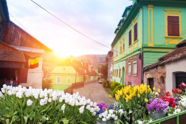 Amsterdam'da güzel bir yaz günü kanal. Başkenti ve en büyük kentidir Hollanda'nın Amsterdam olduğunu