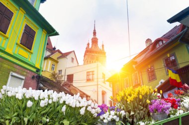 Amsterdam'da güzel bir yaz günü kanal. Başkenti ve en büyük kentidir Hollanda'nın Amsterdam olduğunu