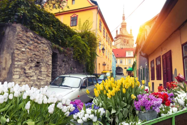 Amsterdam'da güzel bir yaz günü kanal. Başkenti ve en büyük kentidir Hollanda'nın Amsterdam olduğunu