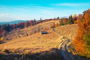 renkli sonbahar manzara dağ köyü. Karpat Dağları sisli sabah. sokilsky ridge, Ukrayna, Avrupa.
