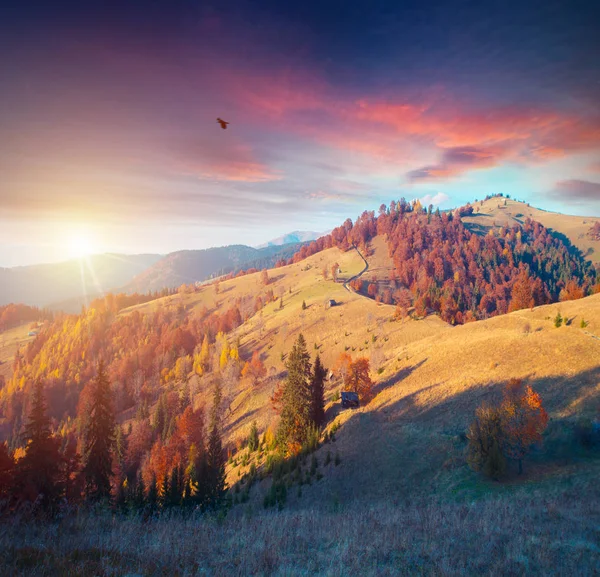 Színes őszi táj a hegyi faluban. Ködös reggel-a Kárpát-hegység. sokilsky ridge, Ukrajna, Európa. — Stock Fotó