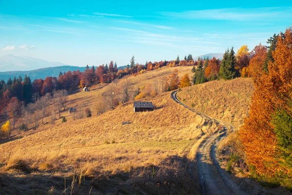 Kolorowy krajobraz jesień w górskiej miejscowości. mglisty poranek w Karpatach. Europa grzbiet, Ukraina, sokilsky. — Zdjęcie stockowe