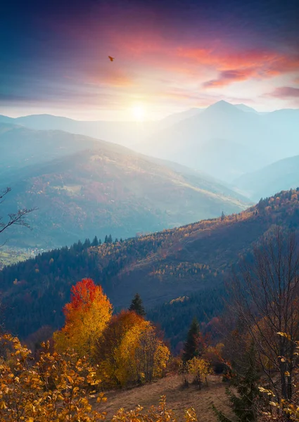 Kleurrijke herfst landschap in het bergdorp. mistige ochtend in de Karpaten. sokilsky ridge, Oekraïne, Europa. — Stockfoto