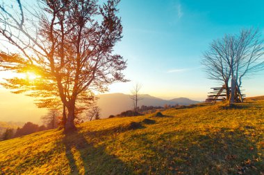 Dağların sonbahar manzarası renkli ormanlarla dolu.