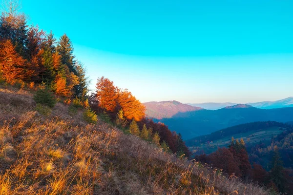 Színes őszi táj a hegyi faluban. Ködös reggel-a Kárpát-hegység. sokilsky ridge, Ukrajna, Európa. — Stock Fotó