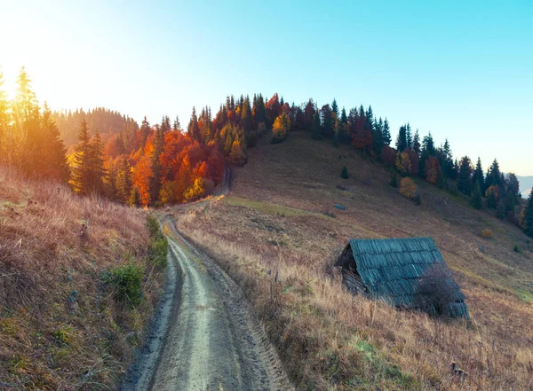 Kolorowy krajobraz jesień w górskiej miejscowości. mglisty poranek w Karpatach. Europa grzbiet, Ukraina, sokilsky. — Zdjęcie stockowe