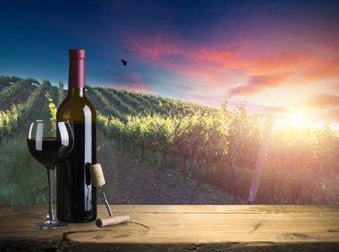 Tuscany, İtalya 'da üzüm bağında kırmızı şarap