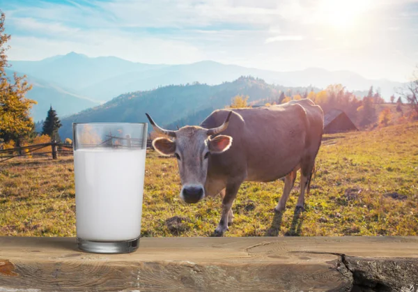 Butelka mleka i szklanka mleka na drewnianym stole na niebieskim tle — Zdjęcie stockowe