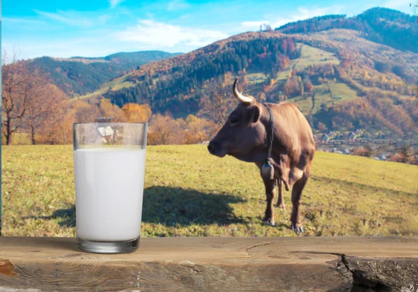 Butelka mleka i szklanka mleka na drewnianym stole na niebieskim tle — Zdjęcie stockowe