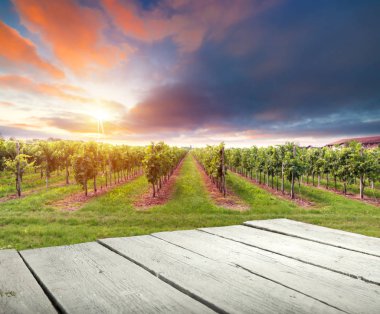 Yeşil Toskana 'nın bahar manzarası ve masa yeri dokusu