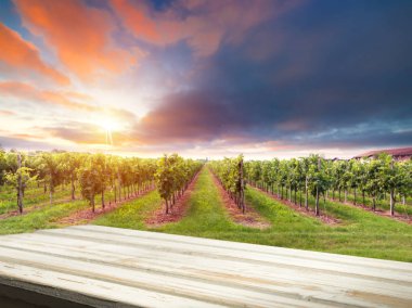 Yeşil Toskana 'nın bahar manzarası ve masa yeri dokusu