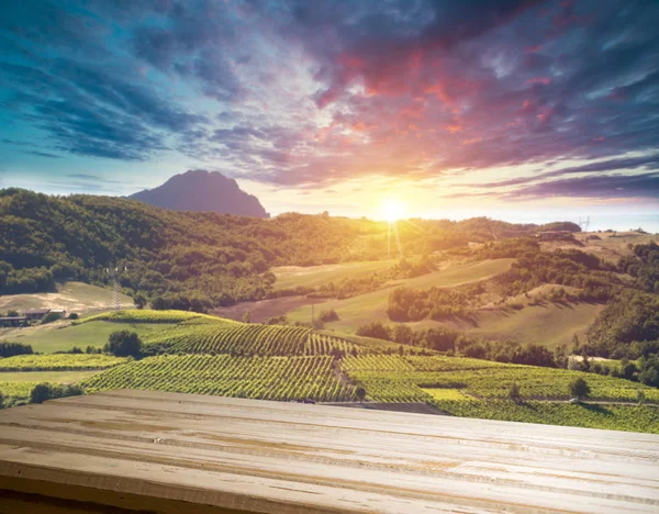 Rode wijn met vat op wijngaard in het groene Toscane, Italië — Stockfoto