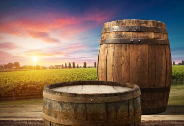 Tuscany, İtalya 'da üzüm bağında kırmızı şarap