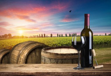 Tuscany, İtalya 'da üzüm bağında kırmızı şarap