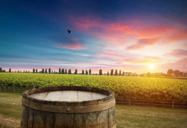 Vinho tinto com barril em vinha na Toscana verde, Itália — Fotografia de Stock