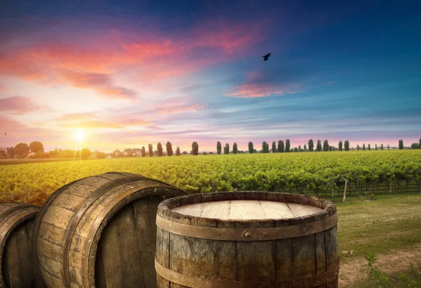 Red wine with barrel on vineyard in green Tuscany, Italy