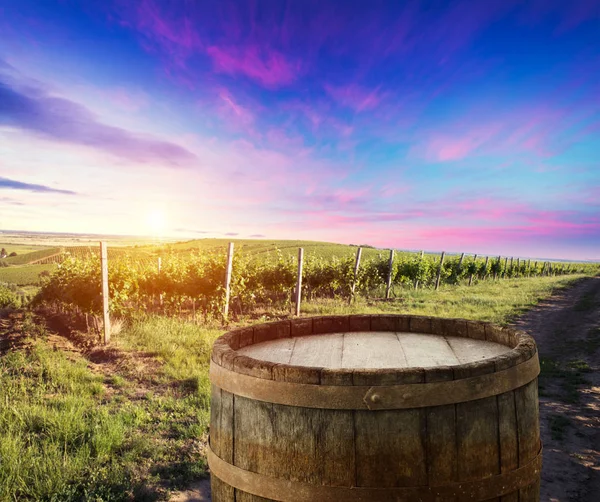 Red wine with barrel on vineyard in green Tuscany, Italy