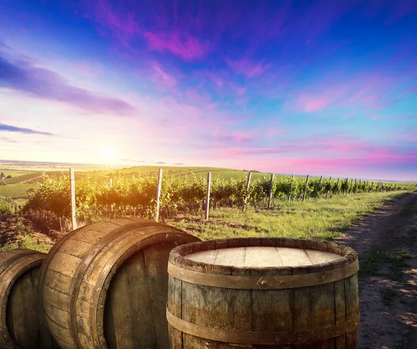 Vino tinto con barril en viñedo verde Toscana, Italia — Foto de Stock