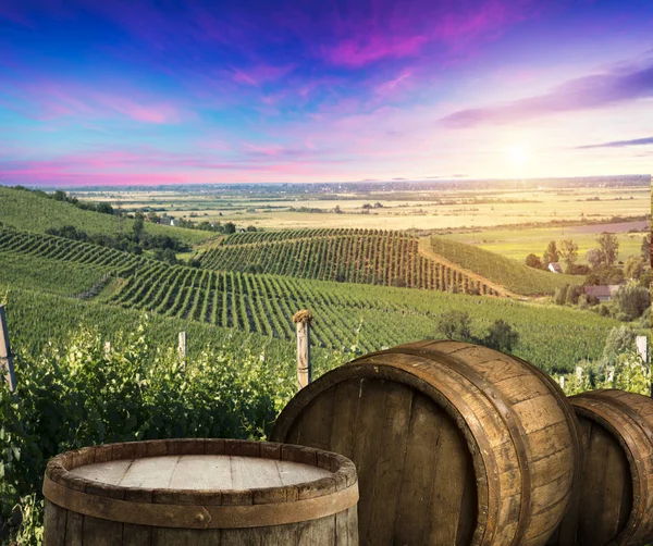 Czerwone wino z beczką na winnicy w zielonej Toskanii, Włochy — Zdjęcie stockowe