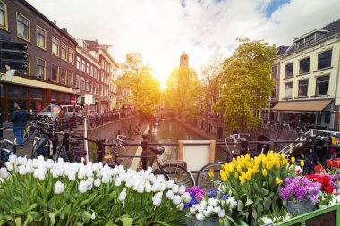 Hollanda, Amsterdam 'ın banliyölerinde eşsiz, eski, otantik, gerçek çalışan yel değirmenleri..