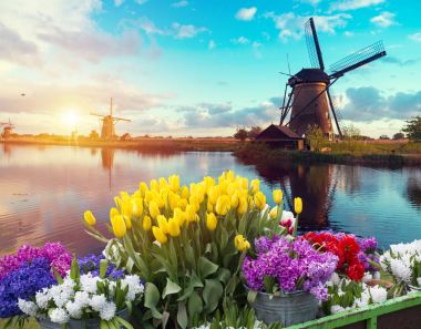 Hollanda yel değirmenleri için önde gelen Rotterdam kanala yolun. Holland. Hollanda