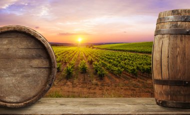 Olgun Şaraplık üzüm Toskana, İtalya üzerinde. Güzel şarap çiftlik, üzüm bağı. Gün batımı ılık ışık