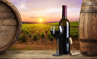 Olgun Şaraplık üzüm Toskana, İtalya üzerinde. Güzel şarap çiftlik, üzüm bağı. Gün batımı ılık ışık