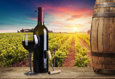 Olgun Şaraplık üzüm Toskana, İtalya üzerinde. Güzel şarap çiftlik, üzüm bağı. Gün batımı ılık ışık