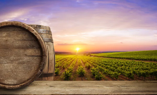 Rijpe wijndruivenrassen op wijnstokken in Toscane, Italië. Pittoreske wijnboerderij, wijngaard. Zonsondergang warm licht — Stockfoto