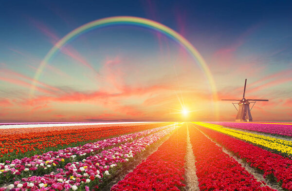 Дорога, ведущая к голландским ветряным мельницам от канала в Роттердаме. Голландия. Нидерланды
