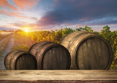 Tuscany, İtalya 'da üzüm bağında kırmızı şarap