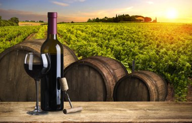 Tuscany, İtalya 'da üzüm bağında kırmızı şarap