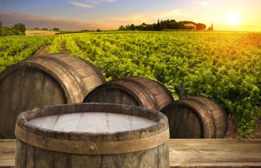 Tuscany, İtalya 'da üzüm bağında kırmızı şarap