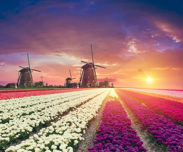 The road leading to the Dutch windmills from the canal in Rotterdam. Holland. Netherlands — Stock Photo, Image