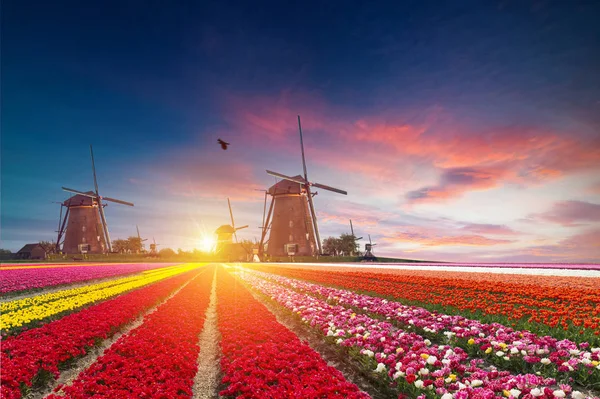 La carretera que conduce a los molinos de viento holandeses desde el canal en Rotterdam. Holanda. Países Bajos — Foto de Stock