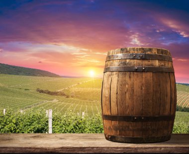 Olgun Şaraplık üzüm Toskana, İtalya üzerinde. Güzel şarap çiftlik, üzüm bağı. Gün batımı ılık ışık