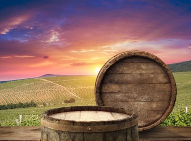 Olgun Şaraplık üzüm Toskana, İtalya üzerinde. Güzel şarap çiftlik, üzüm bağı. Gün batımı ılık ışık