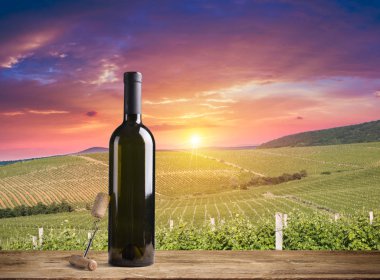 Olgun Şaraplık üzüm Toskana, İtalya üzerinde. Güzel şarap çiftlik, üzüm bağı. Gün batımı ılık ışık