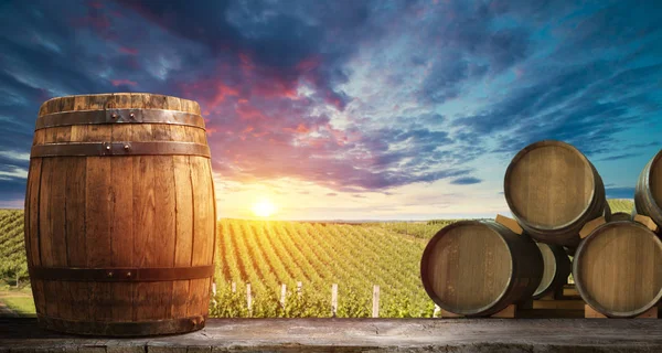 Rijpe wijndruivenrassen op wijnstokken in Toscane, Italië. Pittoreske wijnboerderij, wijngaard. Zonsondergang warm licht — Stockfoto