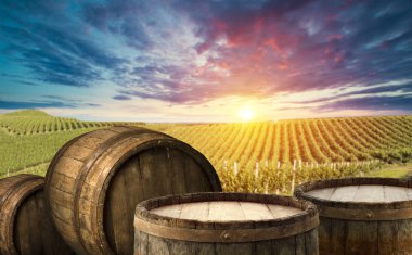 Olgun Şaraplık üzüm Toskana, İtalya üzerinde. Güzel şarap çiftlik, üzüm bağı. Gün batımı ılık ışık