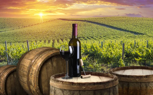 Uvas de vino maduras en viñedos en Toscana, Italia. Pintoresca granja de vinos, viñedo. Luz cálida puesta de sol — Foto de Stock