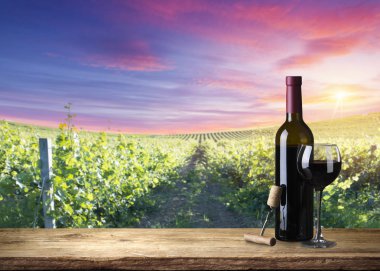 Altın ışık boğulmuş güzel sonbahar bataklık sahne korumalı sulak alanlar