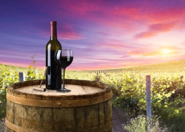 Altın ışık boğulmuş güzel sonbahar bataklık sahne korumalı sulak alanlar